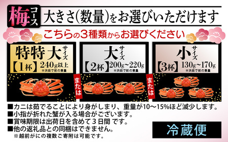 浜茹で 越前せいこがに≪梅セット≫1～2人前 かに酢 食べ方しおり スプーン付き希望日指定可 備考欄に電話番号・メールアドレスをご記入ください [e04-x012_12c]