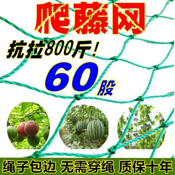 爬藤網加粗瓜果蔬菜種植爬藤網花卉藤蔓攀援網園藝農用網百香果用
