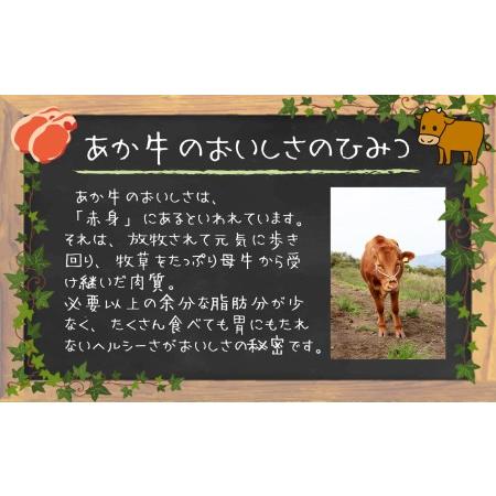 ふるさと納税  肥後の赤牛　焼肉用 500g 熊本県和水町