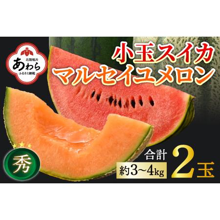 ふるさと納税 小玉スイカ・マルセイユメロン セット 計2玉入（約3kg〜4kg）  秀品 ／ 果物 フルーツ 産地直送 ※2024年6月発送 福井県あわら市