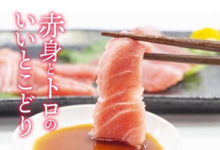 本マグロ　中トロ　500g（柵どり）