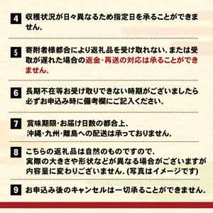 ふるさと納税 活エゾアワビ 約500g アワビ 冷蔵 鮑 アワビ 蝦夷あわび 三陸 あわび 岩手県大船渡市