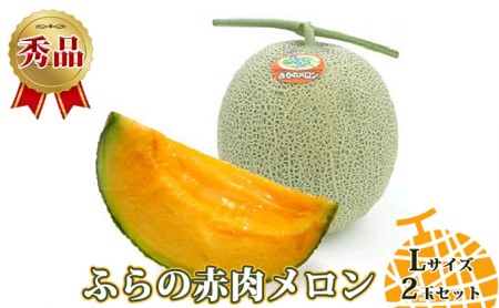 ふらの 赤肉メロン 秀品 Lサイズ 1.6kg～1.9kg 2玉 セット ファーム富良野 メロン めろん 富良野メロン 果物 くだもの フルーツ 富良野 デザート 北海道 令和6年発送 先行受付