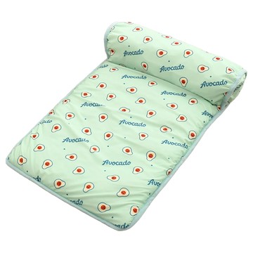 寵星球 寵物靠枕冰絲涼感墊  S(60 x 40cm)  1個  綠色酪梨