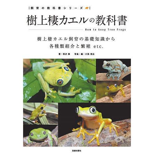 樹上棲カエルの教科書 樹上棲カエル飼育の基礎知識から各種類紹介と繁殖etc. 西沢雅 川添宣広