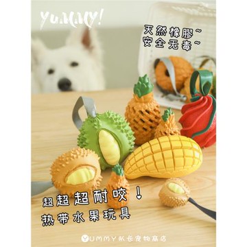 petopia拍拖皮婭耐咬漏食玩具寵物磨牙邊牧狗狗潔齒益智解悶神器