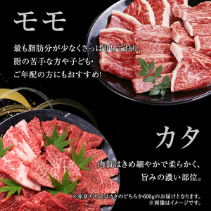 牛肉 飛騨牛 焼き肉 セット 赤身 モモ 又は カタ 600ｇ 黒毛和牛 Ａ5 美味しい お肉 牛 肉 和牛 焼肉 BBQ バーベキュー 