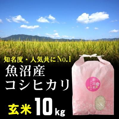 玄米 魚沼産コシヒカリ 10kg 米 お米   最高級銘柄 新潟 魚沼米 令和5年産 新米   人気 おいしい 新潟米 こしひかり 送料無料