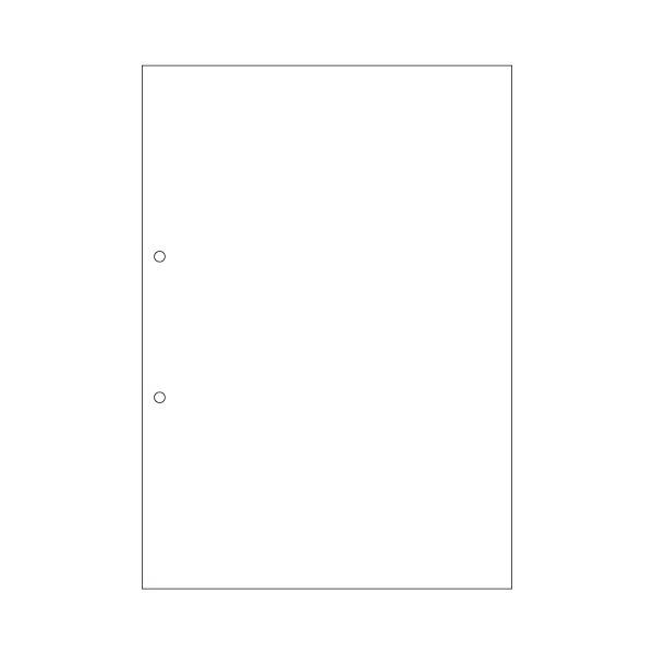 ヒサゴ マルチプリンター帳票(FSC森林認証紙) A4 白紙 2穴 FSC2001 1冊(100枚) 〔×5セット〕