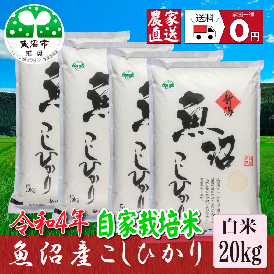 新米  お米２０ｋｇ 魚沼産コシヒカリ 精米  5kg×４袋  安心安全 農家直送 信頼と品質のお米 魚沼市推奨コシヒカリ 送料無料 令和５年産