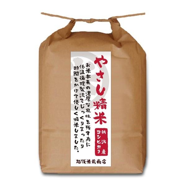 [新潟米 令和4年産] 新潟産コシヒカリ やさし精米 30kg (5kg×6袋) 低温循環精米 新潟米 お米 白米 新潟県産 こしひかり 送料無料 ギフト対応