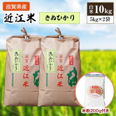 ふるさと納税 竜王町 近江米きぬひかり10kg 米粉200g付き全6回