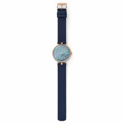 スカーゲン 腕時計 レディース カロリーナ ソーラー SKW2981 SKAGEN スカーゲン KAROLINA カロリーナ腕時計 レディース