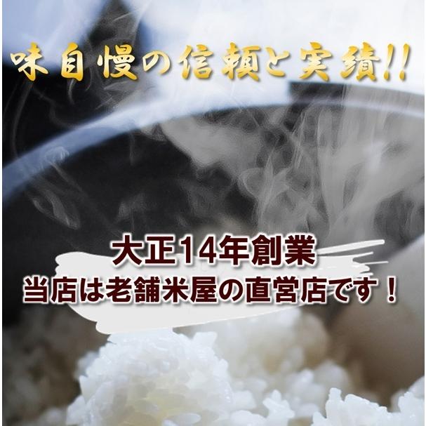 玄米 幻の米 飯山 長野県産 栄村産 コシヒカリ こしひかり 5kg