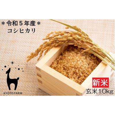 ふるさと納税 京都市 令和5年産 京都ファームのコシヒカリ 玄米10kg