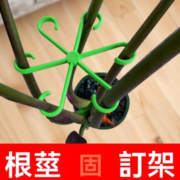 ✨在台出貨✨龟背竹支撑固定器防倒伏春羽支架水培枝干固定花盆架园艺花卉绿植