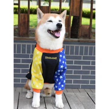 秋季新款黑色加絨星星拼袖衛衣柴犬哈士奇秋田阿拉斯加金毛狗衣服