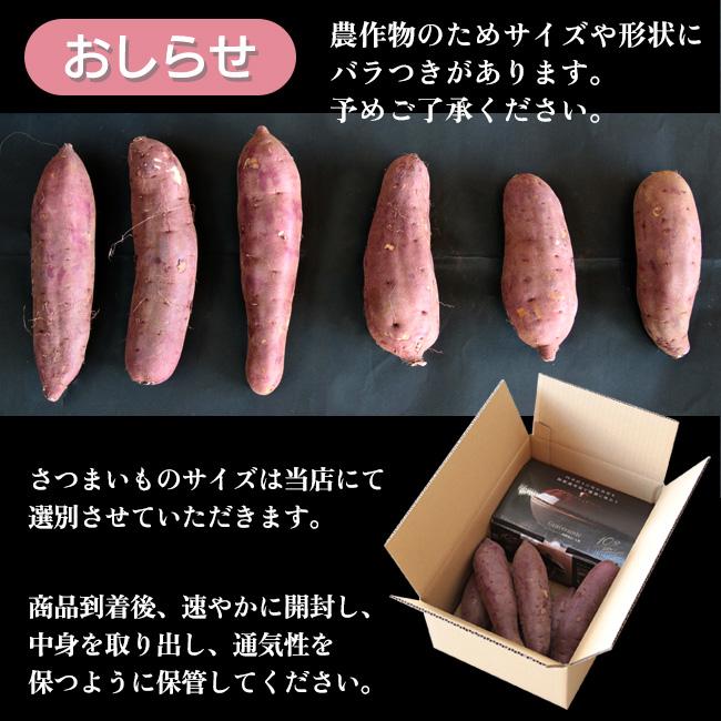 さつまいも 紅はるか 2kg 焼き芋器付き キュアリング 無農薬 有機栽培 有機堆肥 熟成 甘い 焼き芋 焼きいも さつまいも2kg焼き芋器付き