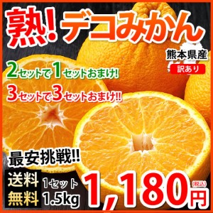 みかん デコポン 同品種 訳ありデコみかん 1.5kg S-3L 送料無料 2セット購入で1セットおまけ 3セット購入で3セットおまけ 熊本県産 フル