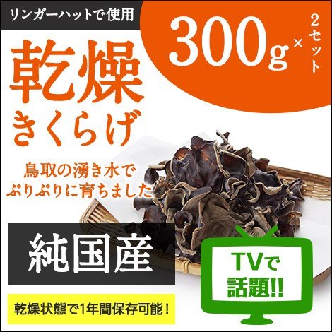 純国産 乾燥 きくらげ 大容量300g×2 敬老の日 健康 ダイエット 栄養 ビタミンD お歳暮 ギフト プレゼント