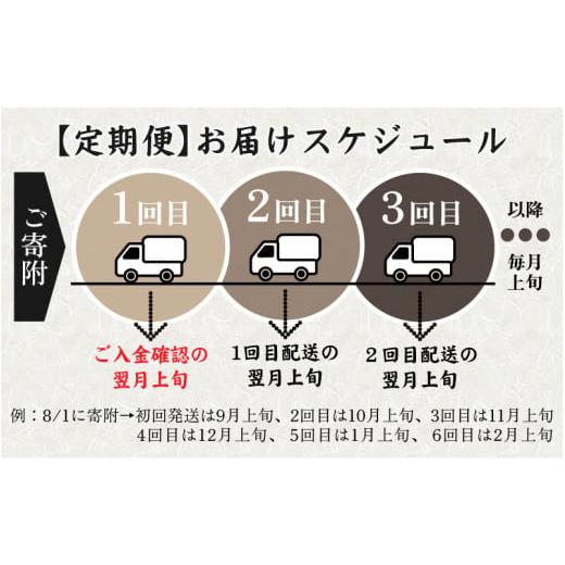 ふるさと納税 福井県 大野市 越前大野産 石臼挽き 越前そば 生そば5食 × 12回 計60食（つゆ付）