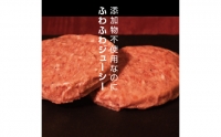 13-182 北海道産100％ハンバーグ約200ｇ×10個 約2000g