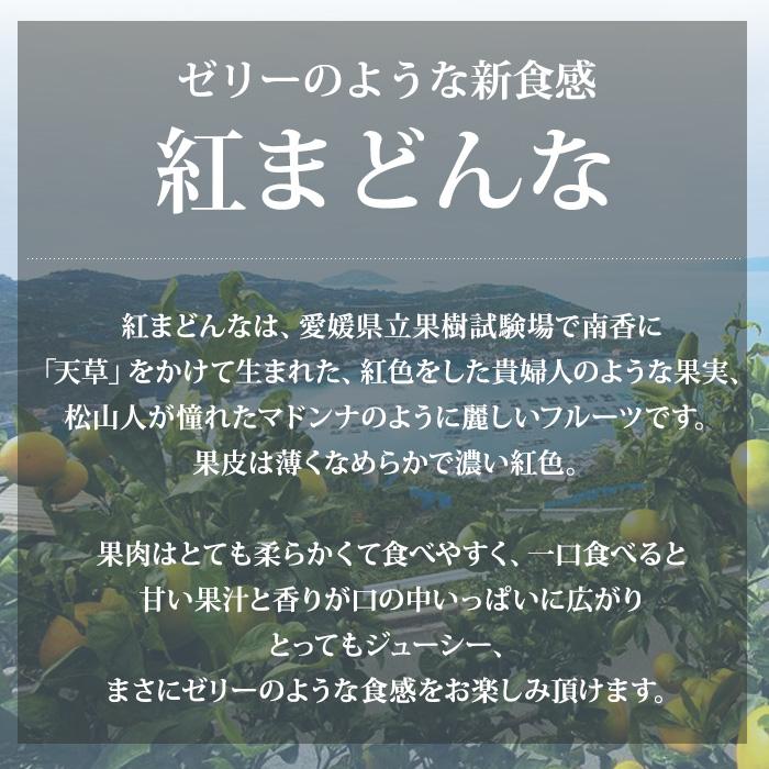 みかん 愛媛県産 紅まどんな 青秀アップ 約3kg L〜3Lサイズ 10〜15玉 化粧箱入