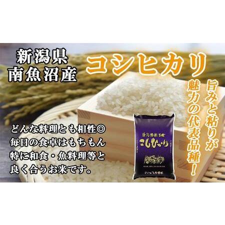 ふるさと納税 南魚沼産コシヒカリ5kg×12回 新潟県南魚沼市