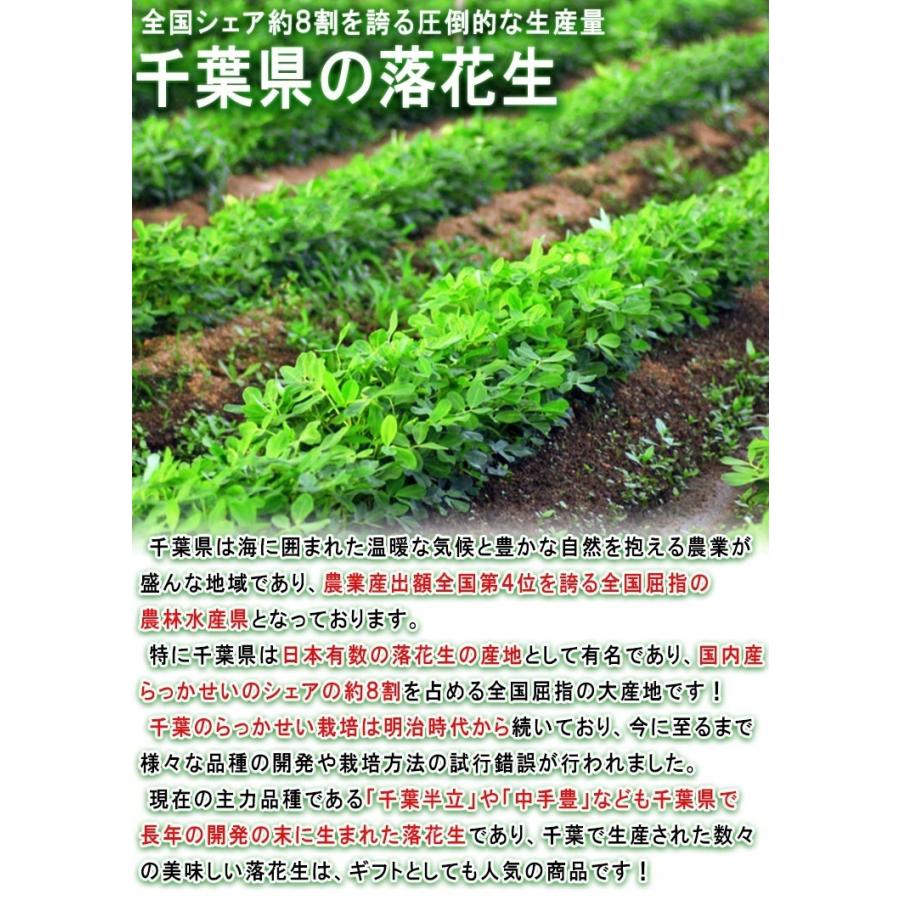 落花生 無添加らっかせい 中手豊 400g 千葉県・八街市産 国内屈指の産地で育てた抜群の味と豊かな風味！