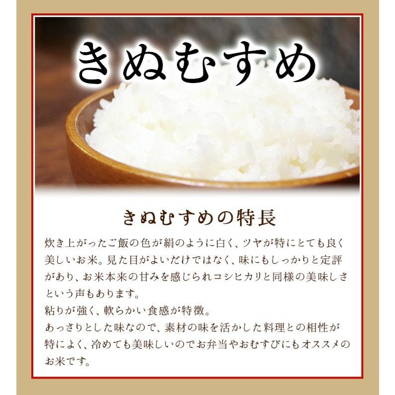 ＼新米入荷／ 米 玄米 5kg きぬむすめ 厳選農家 玄米 白米 選択可 令和5年兵庫県産 産地直送