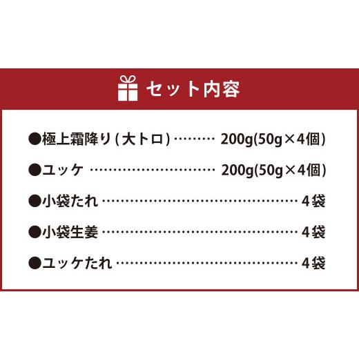 ふるさと納税 熊本県 益城町 熊本 馬刺し 極上霜降り(大トロ)、馬肉ユッケ 200g×2 合計 400g セット 霜降り 大トロ 馬肉 ユッケ