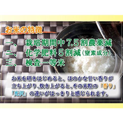 お米 白米 22.5kg コシヒカリ 特別栽培米 7.5割農薬減 兵庫県 丹波篠山産 一等米 当日精米 令和5年産