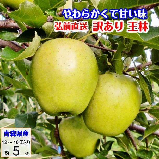 王林  おうりん オウリン 訳あり 5kg 青森産 リンゴ 林檎 りんご 葉とらずりんご