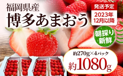 農家直送 朝採り新鮮いちご [(約270g)×4パック]＜2023年12月以降順次