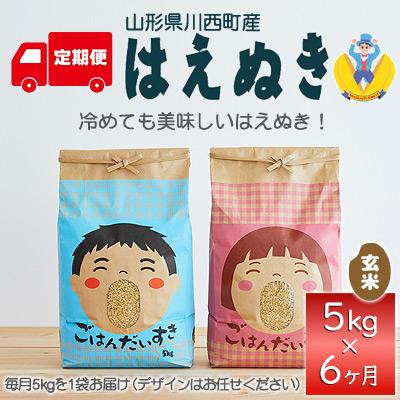 ふるさと納税 川西町 山形県産米「はえぬき」玄米 5kg(5kg×1袋)全6回