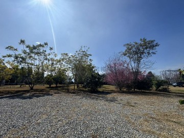 南投鹿谷社區型休閒渡假381坪美農地｜南投縣鹿谷鄉新鹿谷段