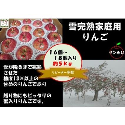 ふるさと納税 11〜12月発送 訳あり 雪完熟 家庭用 サンふじ 約5kg  青森県弘前市