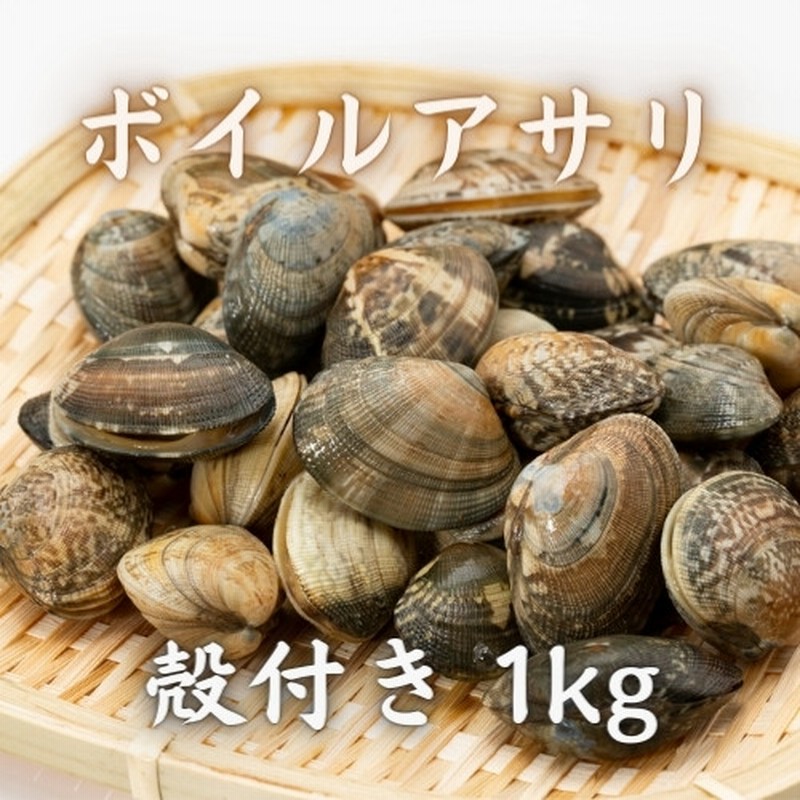 市場 ボイル殻付あさり ５０ 500g ４１ Ｌ アサリ