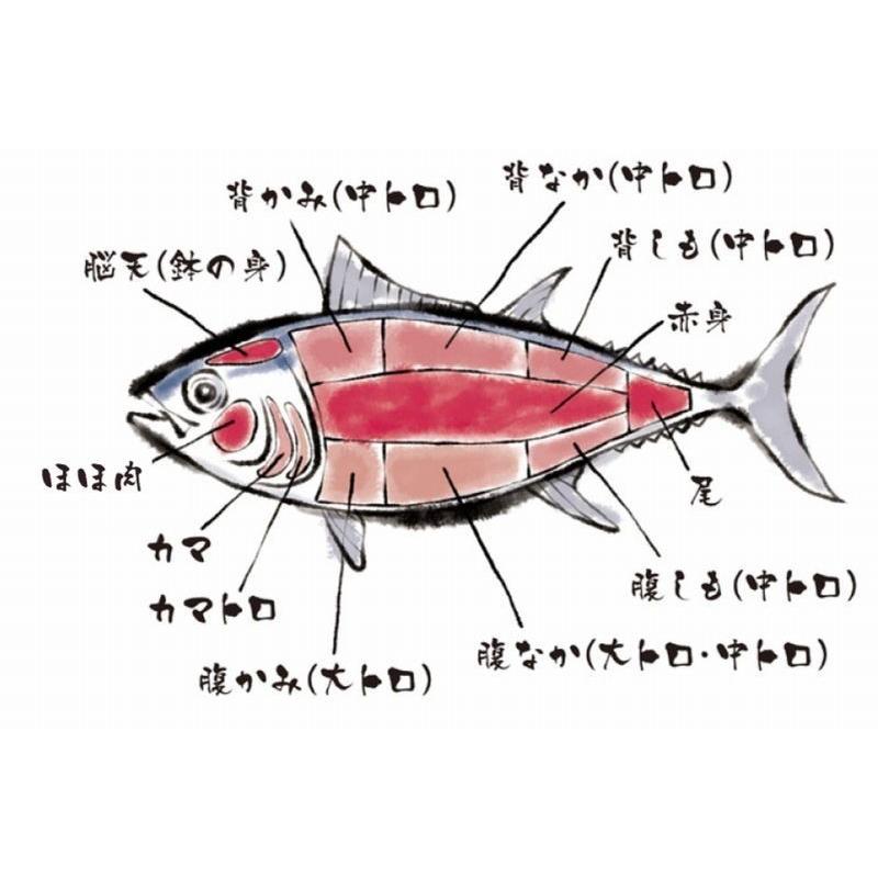 年末年始 グルメ 本マグロ赤身 300g ブロック 柵 まぐろ マグロ 鮪 刺身 おつまみ ごちそう 海鮮 ギフト 解凍レシピつき 2〜3人前