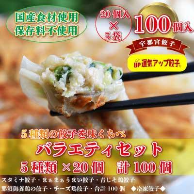 ふるさと納税 宇都宮市 宇都宮餃子　5種類味比べ(合計100個)