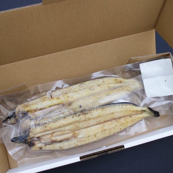 うなぎ 国産 白焼き 高知県産 特選うなぎ白焼き135ｇ×2尾 鰻 ギフト プレゼント 人気 お取り寄せ お礼 お祝い お返し 海鮮 グルメ 贈答 食品 お歳暮 冬ギフト