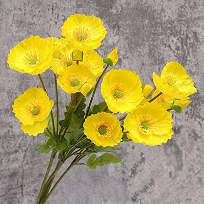 ポピー花束の通販 148件の検索結果 Lineショッピング