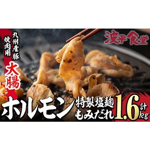 ふるさと納税 大分県 佐伯市 特製 塩麹もみだれ 九州産豚ホルモン 大腸 (計1.6kg・320g×5P)  