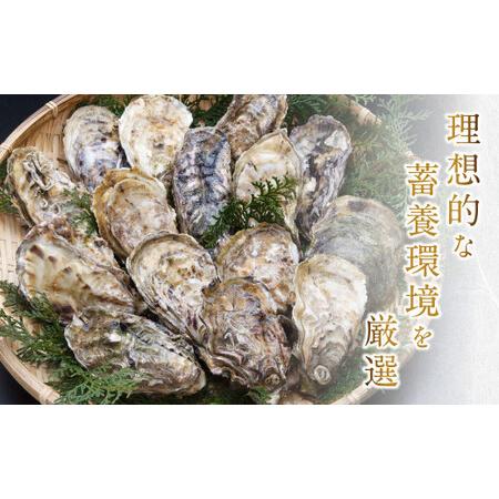 ふるさと納税 活き天草真牡蠣 2kg（100g以上×20個）加熱用かき 牡蠣 カキ 熊本県上天草市