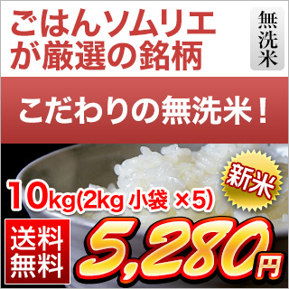 新米 令和５年(2023年) くりやの無洗米 香川県産こしひかり 10kg(2kg×5袋)