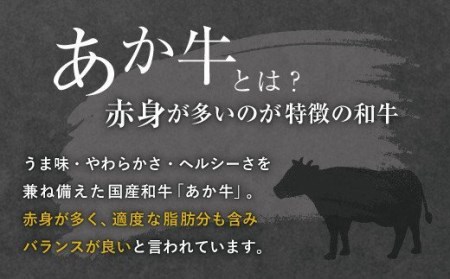 国産和牛 ステーキ用 あか牛 計700g（ヒレ肉300g ロース肉400g）牛肉