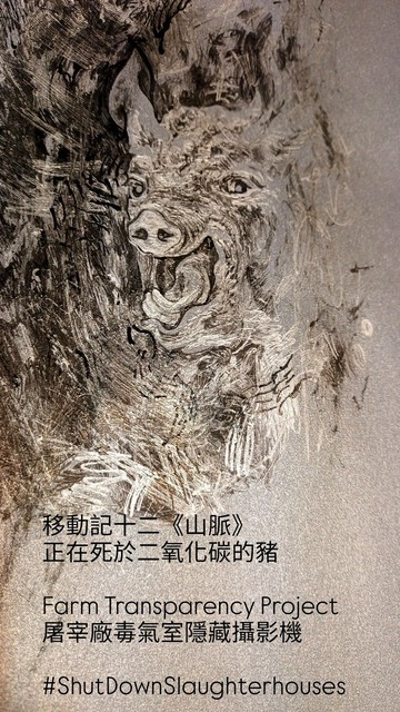 正在死於二氧化碳的豬 VEGAN 素描複製畫 炫光卡 水晶網點 屠宰廠