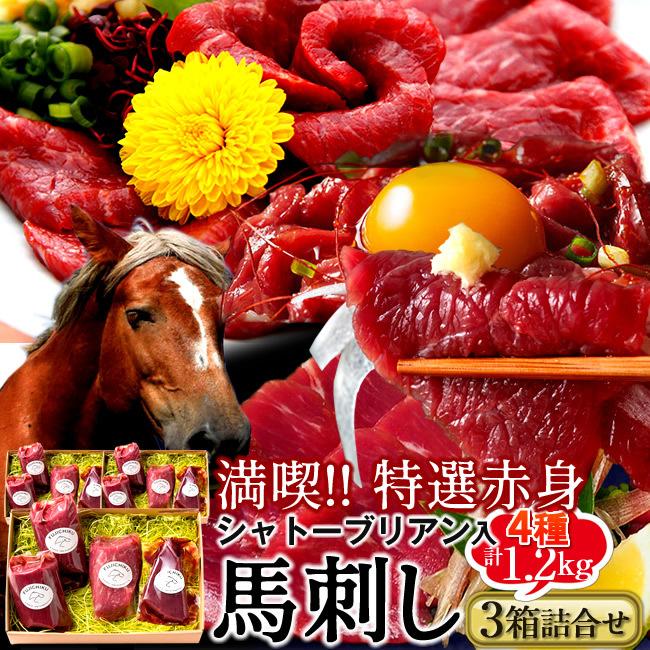 馬刺しふじ馬刺し 詰め合わせ 計1.2kg［上赤身1 ランプ1 ロース1 ヒレ1］×馬肉 刺身 熊本県［お歳暮 2023 ギフト 御歳暮］