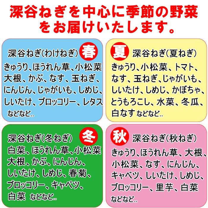 道の駅おかべセット 10,000円コース