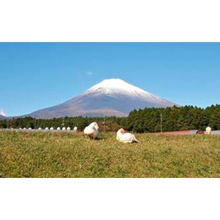 ふるさと納税 満足セット◆ 静岡県御殿場市